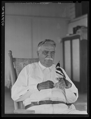 Photo:Guanica Puerto Rico Don Luis Quinones 1942 FSA Portrait with Bird