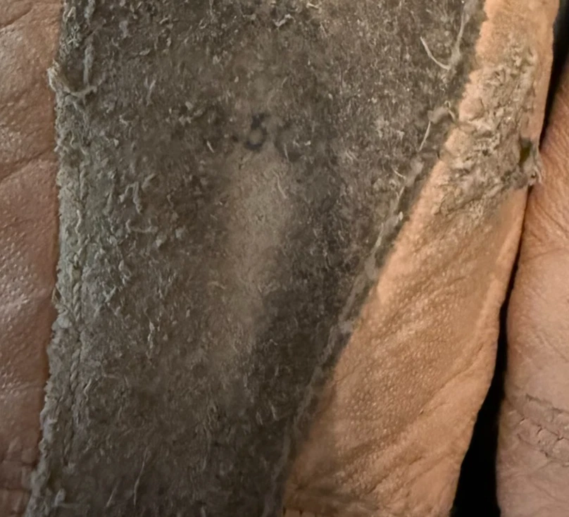 Балетные тапочки Bloch для девочек размер 10,5 - Изображение 4 из 4