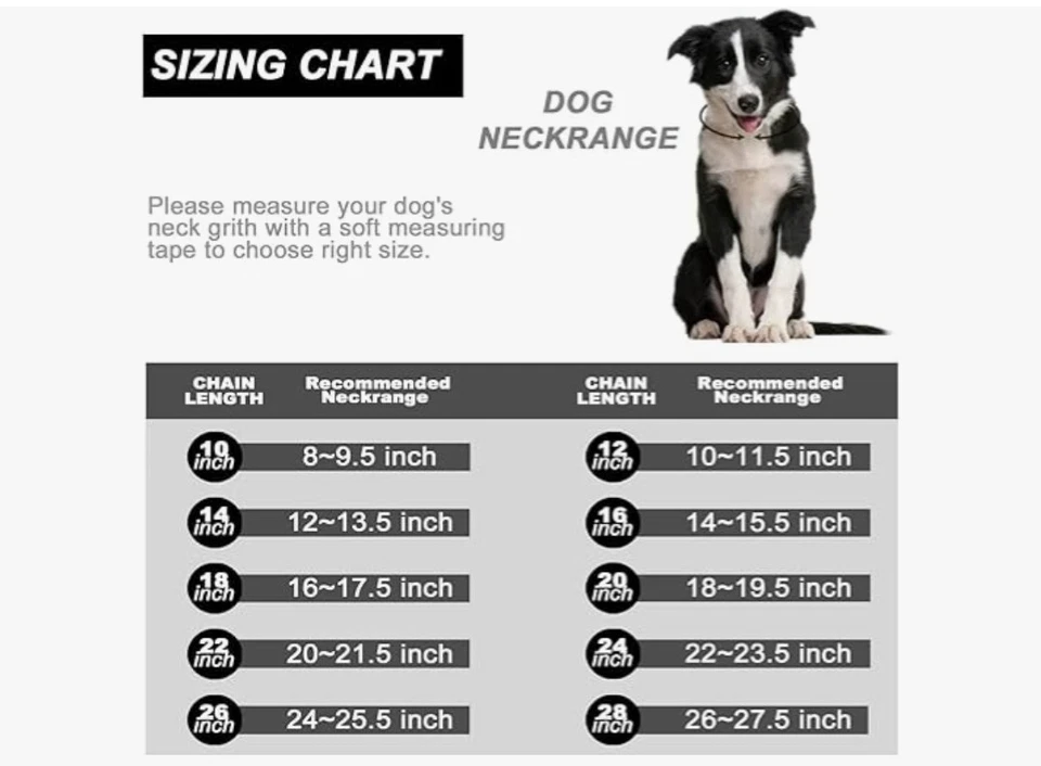 狗项圈带锆石锁定手工抛光不锈钢金属 - 19 毫米,12 — 第 3/4 张图片