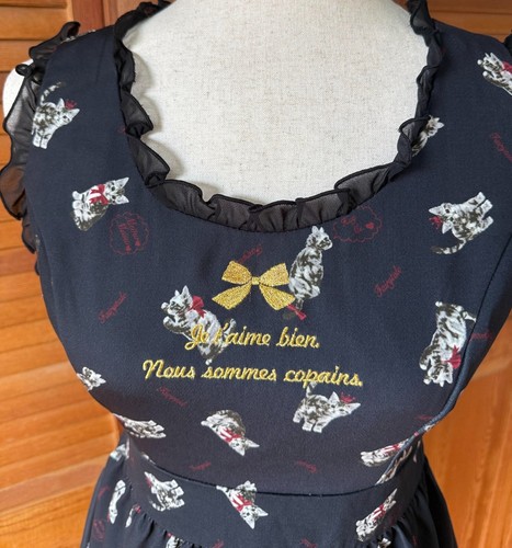 Ank Rouge J-fashion Kawaii Jirai Gyaru Himekaji Black Gray Cat Princess Dress M - Picture 2 of 14