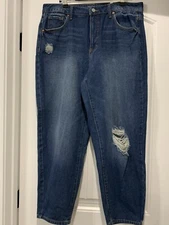 TIME AND TRU HIGH RISE BARREL JEANS WOMENS SIZE 14 NWT