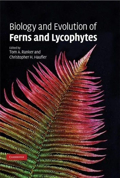 Tom A. Ranker (U. A.) | Biology And Evolution Of Ferns And Lycophytes | Buch-image