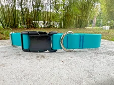 1 inch Waterproof Adjustable Dog Collar with Quick Release Buckle USA - Aqua