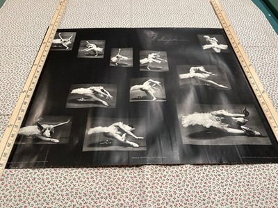 1975 Max Waldman Master Ballet Poster The Dying Swan Makarova 27.5x22 Rare HTF