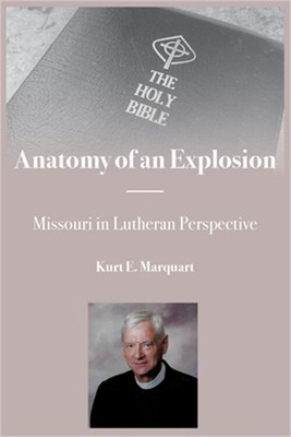 Anatomy of an Explosion (Paperback or Softback)