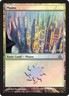 Magic the Gathering Plains Dragon's Maze Prerelease Foil Promo 1/1 MtG