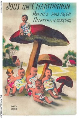 BAUP17-1017-BEBE - Under a mushroom take girls and boys in no way