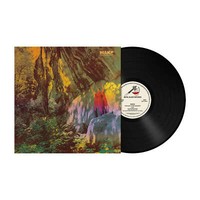 Wake - Thought Form Descent - Vinyl-Lp - Black Vinyl