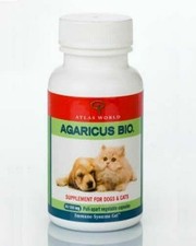 serrapeptase for dogs