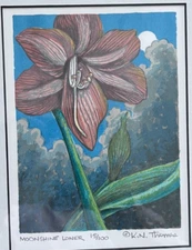 Kurtis N. Thomas MOONSHINE LONER 15/100 Silk Screen Print flower framed matted