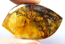 ip16 Dendrite Quartz 34.81ct 23x36x6mm free form picture stone agate dendritic