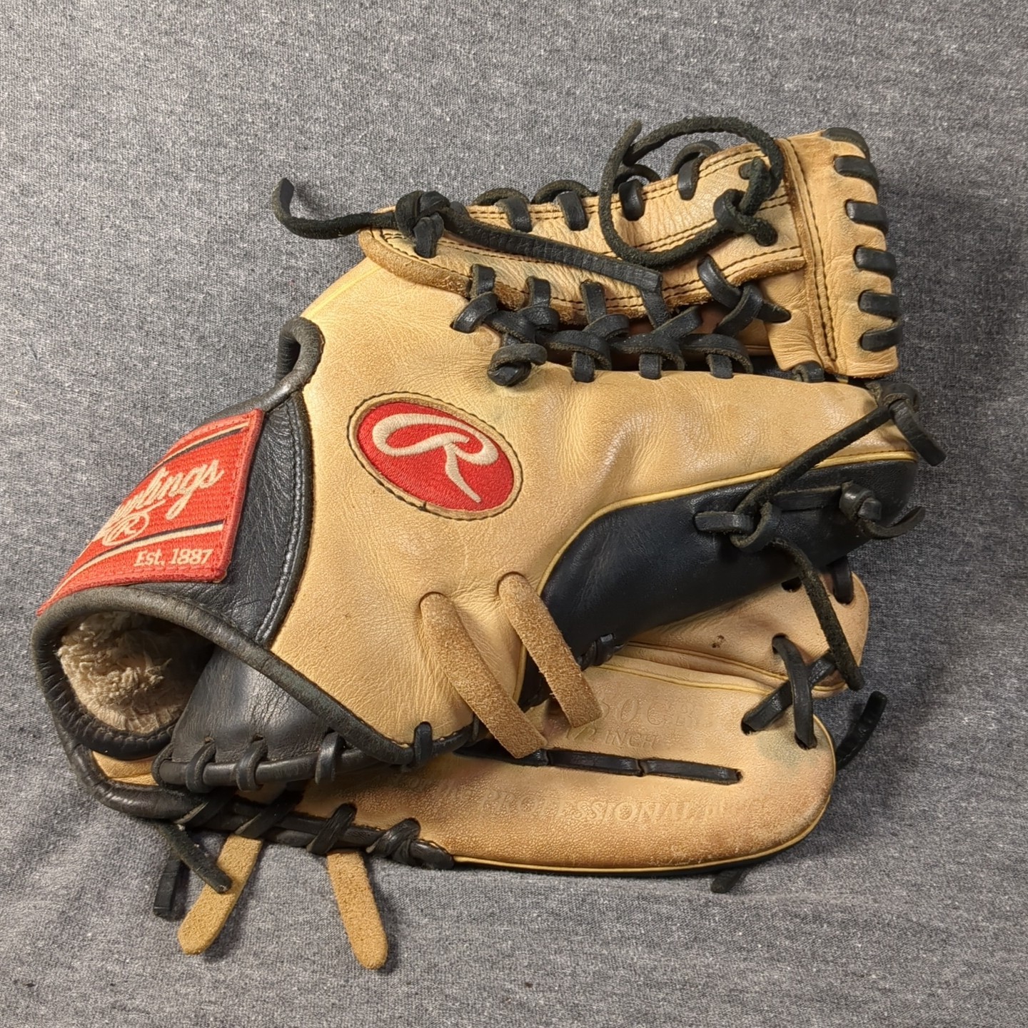 Mitt Professional Player