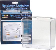 Small Convalescent Home Specimen Container Lees Pet Carrier Transparent Box