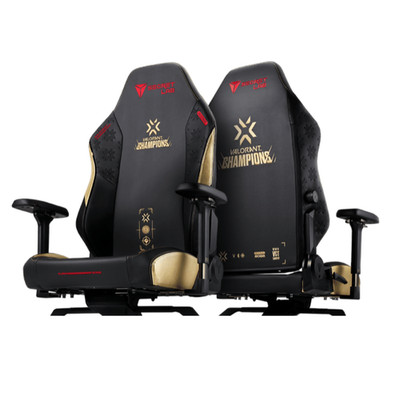 Secretlab Titan Evo 2022 Valorant Champions Limited Edition