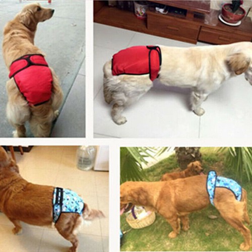 2er-Pack Haustier weich waschbar weibliche Hundewindeln wiederverwendbar physiologische Hundewindeln - Bild 10 von 13