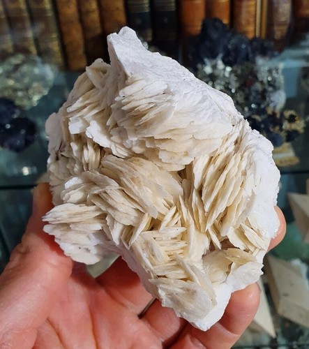 Baryte, Mine de Baugis, Saint-Bresson, Le Vigan, Gard (30), Occitanie, Fr - Picture 5 of 10