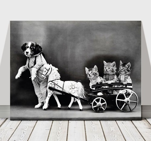 CUTE VINTAGE B&W Dog Dressed Up With Kittens - CANVAS ART PRINT POSTER - 36x24"