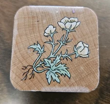 Buttercup Flower Rubber Stamp Wood Mount Stampendous Wild Flower Nestling Nature