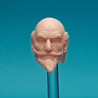 Star Wars Don-Wan Kihotay Custom Head Cast The Vintage Collection 3-3/4"  1:18