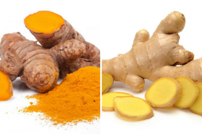 FRESH WILD TURMERIC Ginger / Turmeric Roots 1lb / 500gram Each