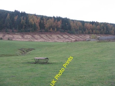 Foto 12x8 Forstwirtschaft am Mount Kaimrig Ende mit Anzeichen von Kahlfällung o c2016