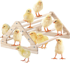 Pine Chick Perch Stand - Roosting Bar  Jungle Gym for Chickens and Birds