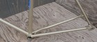 Foto 11 di 24