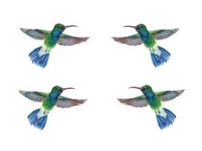 Temporary Tattoos - Set of 4 Wrist size Hummingbird  approx. 1.5" each 