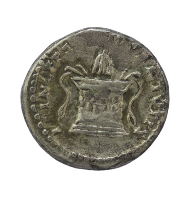 Domitian (time of Titus 80 AD) , AR Denarius ,3,16 g., SELTEN   PRO-4