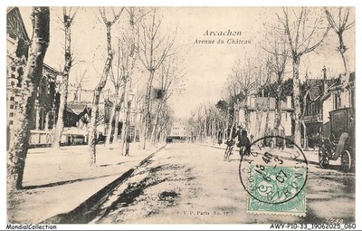 AWYP10-0735-33 - ARCACHON - Avenue Du Chateau