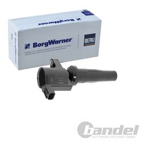 BorgWarner (Beru) ZÜNdspule ZÜNdmodul Passend FüR Ford C-MAX Mondeo | ZS600