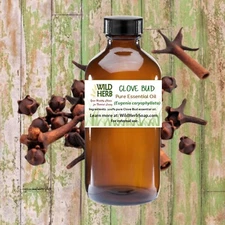 ORGANIC CLOVE BUD | 100% Pure Therapeutic Essential Oil | .5 oz - 32 oz 