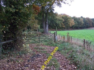 Photo 6x4 Track beside Windmill Wood Knutsford Off Chelford Road. c2016