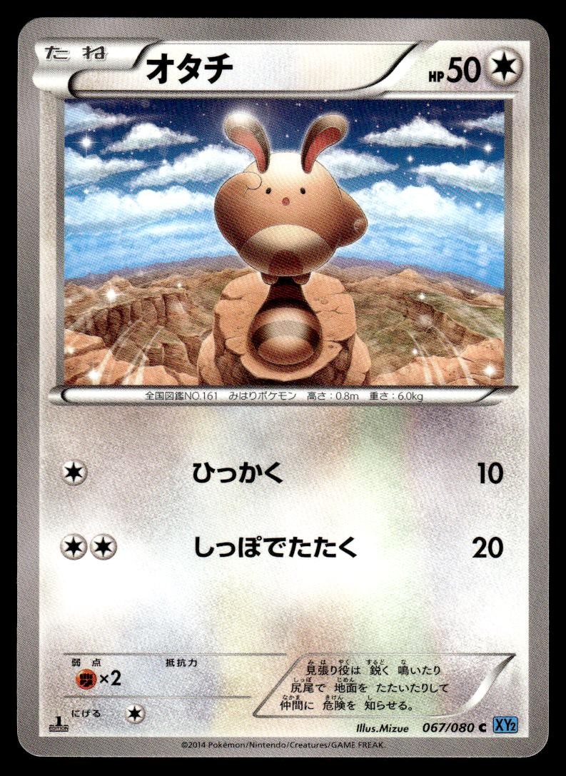 Sentret 067/080 XY2 Wild Blaze Pokemon Japanese LP | eBay