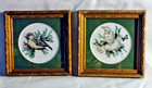 Birds Counted Cross Stitch Birds in 5 inch Frames Pair Dove Sparrow Handmade