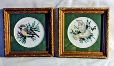 Birds Counted Cross Stitch Birds in 5 inch Fr...