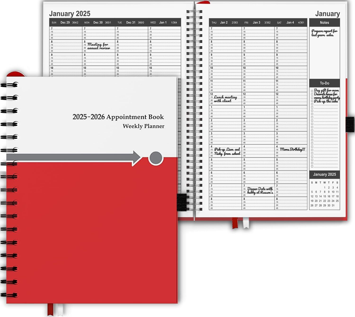 Appointment Book 2025 2026 Daily & Hourly 15 minutes Schedule Planner Book by...