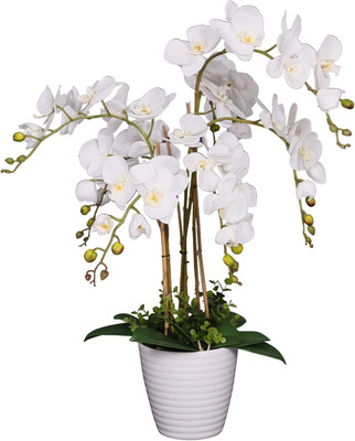 Stunning 2.5' White Orchid Silk Flower Plant - Elegant Home Decor