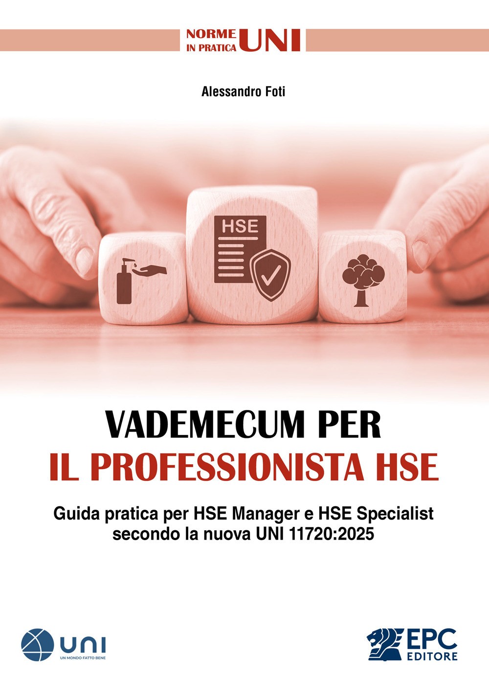 Vademecum per il professionista HSE. Guida pratica per HSE Manager e HSE S...