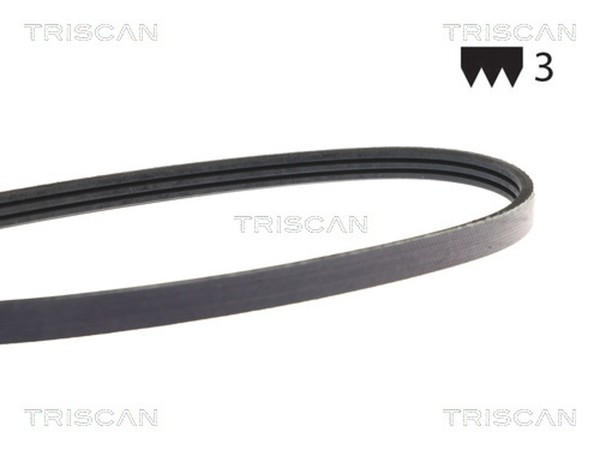 Keilrippenriemen Triscan 8640 300660 FüR XD Hyundai Matrix Justy KAD Elantra FC-image