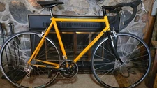 2005 Pegoretti Palosanto 54cm