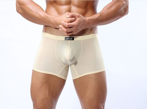 Cockcon Sexy Men Underwear Boxer Ice Silk Transparent Breathable thin - Picture 4 of 10