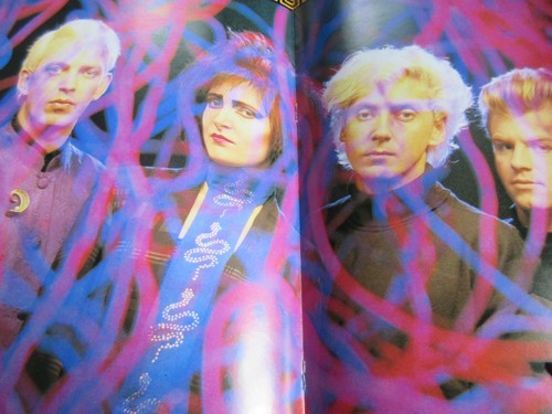 Siouxsie and The Banshees 1985 UK Tour Book Concert Program Goth MCMLXXXV Hyaena - Picture 5 of 7