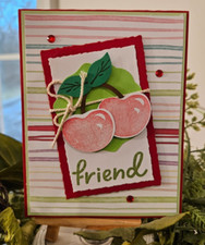 STAMPIN UP CARD KIT -CHERRIES FRIEND CARD KIT MAKES 4 25.142