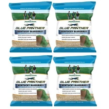 Jonathan Green Blue Panther Kentucky Blue Grass Blend Seed Mix, 3lb bag, 4 Pack