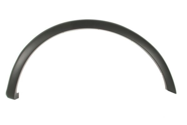 Right Front BLIC 5703-08-2593376P Trim/Protection Strip, wing for FORD USA