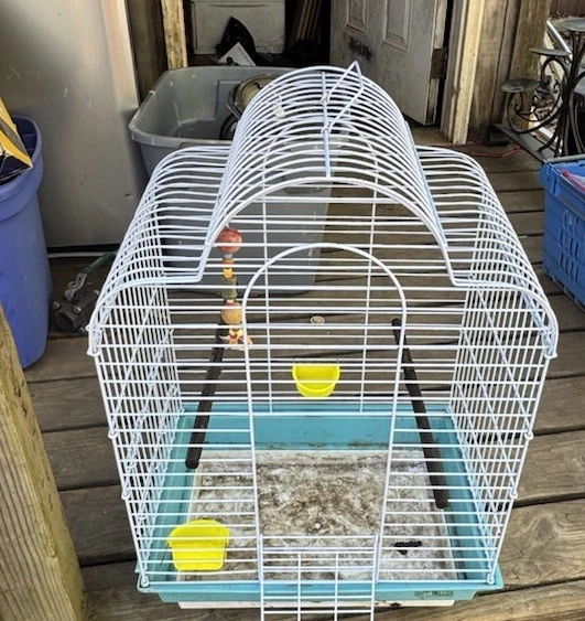 Prevue Wire DomeTop Bird Cage with Two Perches & Feeders And Accessories
