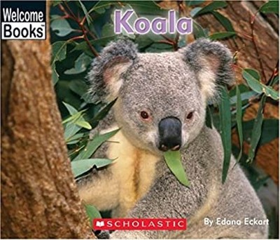 Koala Hardcover Edana Eckart