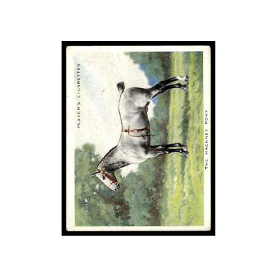 players cigarettes types Hackney Pony 1939 Players Cigarettes Types of Horses #11 Baseball Card VG