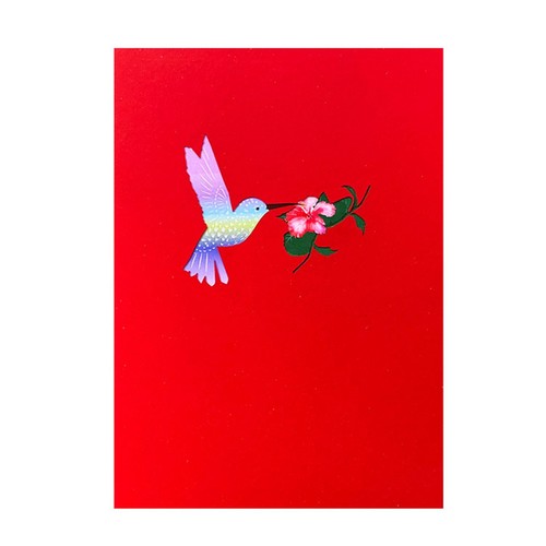 Carte pop up colibrì - Foto 7 di 7